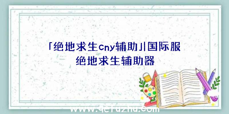 「绝地求生cny辅助」|国际服绝地求生辅助器